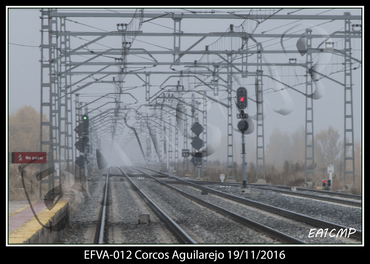 Corcos10