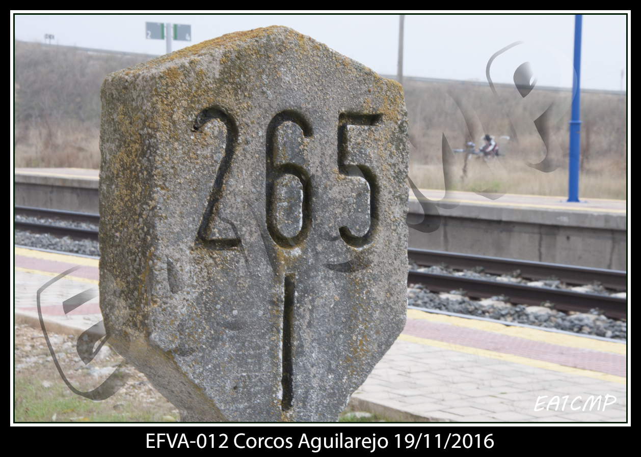 Corcos9