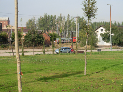 DSCN1671