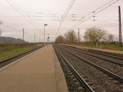 DSCN2997