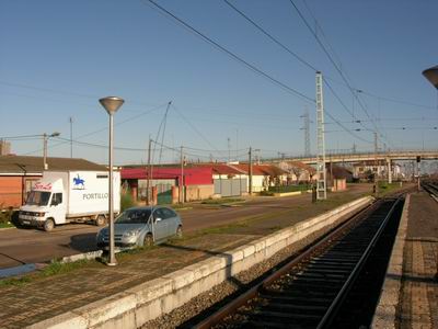 DSCN3003