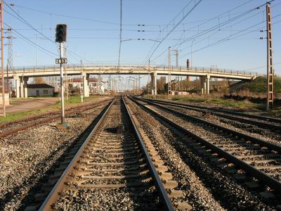 DSCN3005