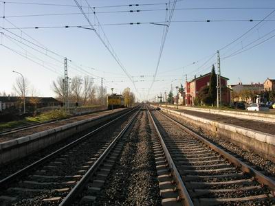 DSCN3006