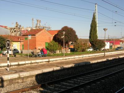DSCN3011